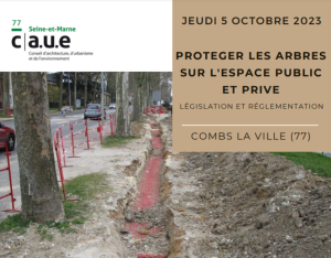 37e arborencontre : Protéger les arbres sur l'espace public et privé | CAUE77