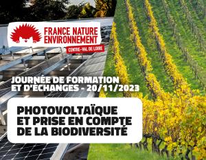 Photovoltaïque et prise en compte de la biodiversité | FNE Centre-Val de Loire