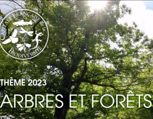 Les territoires agissent pour les arbres, le bocage et la forêt | colloque de restitution Capitale Française de la Biodiversité