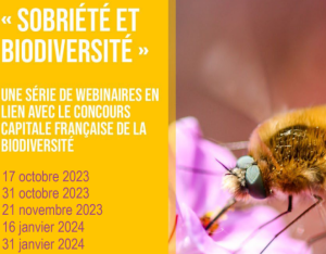 Sobriété, un atout pour la biodiversité | CNFPT