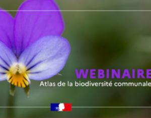 Présentation de la campagne 2024 des Atlas de la biodiversité communale (ABC)|OFB