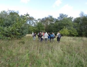 Sortie botanique au Bec d'Allier (18)