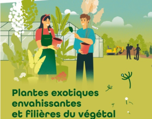 plantes exotiques envahissantes et filières du végétal | CdR EEE - OFB/UICN-France