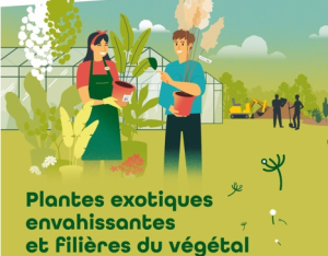 Plantes exotiques envahissantes et filières du végétal | CdR EEE - OFB/UICN-France