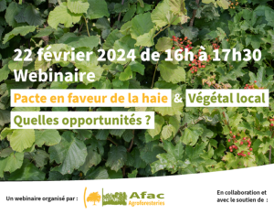 Pacte en faveur de la haie et Végétal local : Quelles opportunités ? | AFAC-Agroforesteries