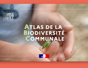 Webinaire de questions/réponses autour du programme « Atlas de la biodiversité communale »