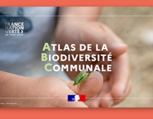 Webinaire de questions / réponses autour du programme « Atlas de la biodiversité communale » | OFB