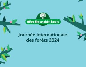 Journée internationale des forêts à Cheillé (37)