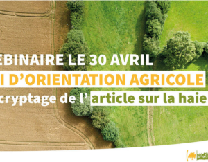 Décryptage de l'article sur la haie / la loi d'orientation agricole | Afac-Agroforesteries