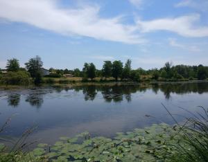 Le patrimoine naturel des communes, comment financer sa restauration ? | Fondation du Patrimoine