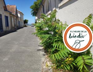 [À l'heure de la biodiv' !] Végétalisation 2/3 : quels pièges à éviter dans le choix des végétaux ?