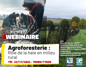 Agroforesterie - rôle de la haie en milieu rural | FNE Centre-Val de Loire