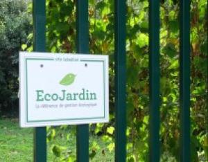 13e Rencontre EcoJardin | Plante & Cité