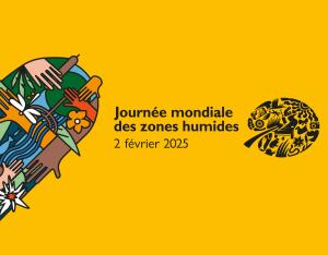 [Mois des zones humides 2025] Animations en région