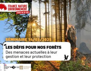 Les défis pour nos forêts, des menaces actuelles à leur gestion et leur protection | FNE Centre-Val de Loire
