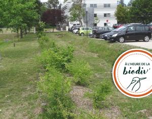 [À l'heure de la biodiv' !] Parcours de l'eau 1/4 : Les solutions naturelles pour la gestion du pluvial