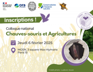 Colloque national Chauves-souris et Agricultures | FCEN