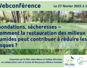 Inondations, sécheresses – Comment la restauration des milieux humides peut contribuer à réduire les risques ? | Pôle-relais Mares et Vallées alluviales