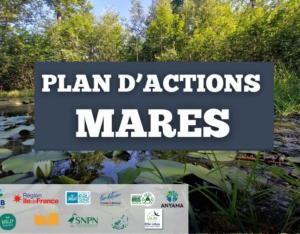 Présentation du Plan d'Actions Mares National | SNPN
