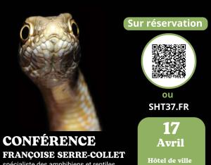 Serpents : légendes, rumeurs et vérités