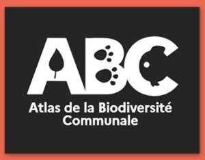 Des Atlas de la biodiversité communale pour préserver les zones humides | OFB