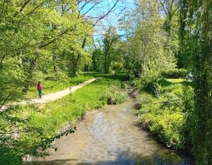 Les balades du vivant à l'île de la Bionne (45)