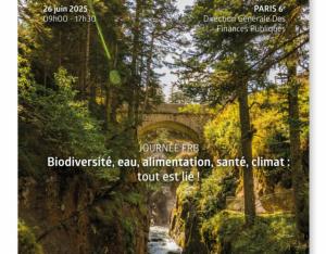 Biodiversité, eau, alimentation, santé, climat : tout est lié ! | FRB