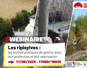 Les ripisylves : les bonnes pratiques de gestion pour leur protection et leur valorisation | FNE Centre-Val de Loire
