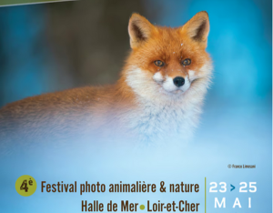 MER'veilles nature - festival de photographies de nature