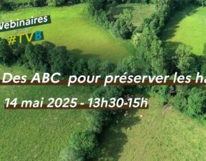 Des Atlas de la biodiversité communale pour préserver les haies | CdR TVB - OFB