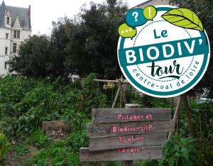 Biodiv'tour : visite autour de la végétalisation et la citoyenneté à Tours (37)