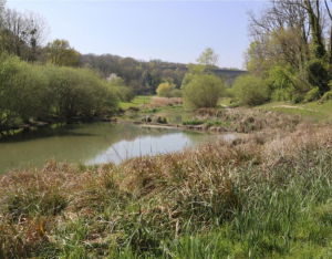 39e Arborencontre : Arbres et arbustes, des alliés naturels pour limiter le ruissellement et les inondations