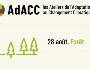 Ateliers de l'Adaptation : Milieu Forestier