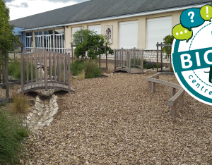 Biodiv'tour : visite autour d'une cour d'école désimperméabilisée à Saint-Ouen (41)