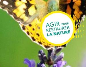 Règlement Restauration de la Nature : Les pollinisateurs