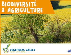 Journée "Agricutlure et Biodiversité" | Végépolys-Valley