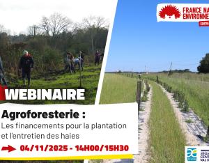 Agroforesterie : les financements pour la plantation et l'entretien des haies | FNE Centre-Val de Loire
