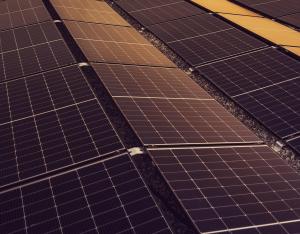 Webinaire Énergie renouvelables & biodiversité