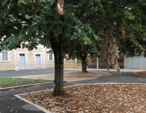 Visite technique "Un aménagement vivant : comment penser le végétal dans toutes les étapes d'un projet ?"