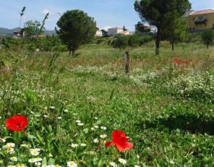 Rencontre EcoJardin 2026 | Plante & Cité