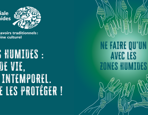 [Mois des zones humides 2026] Animations en région