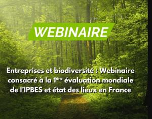Webinaire consacré au Rapport "Entreprises & Biodiversité" de l'IPBES