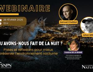La nuit, un habitat à part entière : repenser notre rapport à l’obscurité pour préserver la biodiversité | SNPN