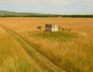 Prairies et qualité de l'eau : risques et bénéfices | CdR Captages