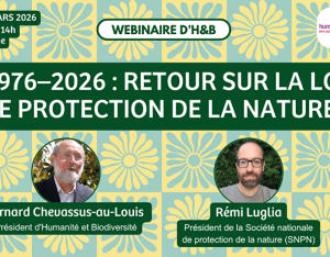 Webinaire « 1976–2026 : retour sur la loi de protection de la nature » | Humanité et Biodiversité