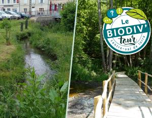 Cycle réduction du risque inondation - visite à Saint-Martin d'Auxigny (18)