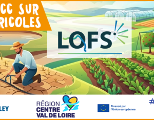 Impact du changement climatique sur les systèmes de productions agricoles : quelles nouveautés à partager ?