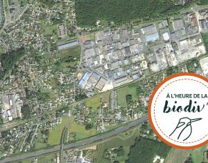 [À l'heure de la biodiv' !] Parcours Mobiliser les entreprises 4/4 : Zones d'activités : concilier développement économique et biodiversité