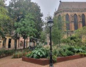 Concilier préservation du patrimoine historique & enjeux écologiques et paysagers | Plante&Cité