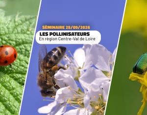 Séminaire - Les pollinisateurs en Centre-Val de Loire | FNE Centre-Val de Loire